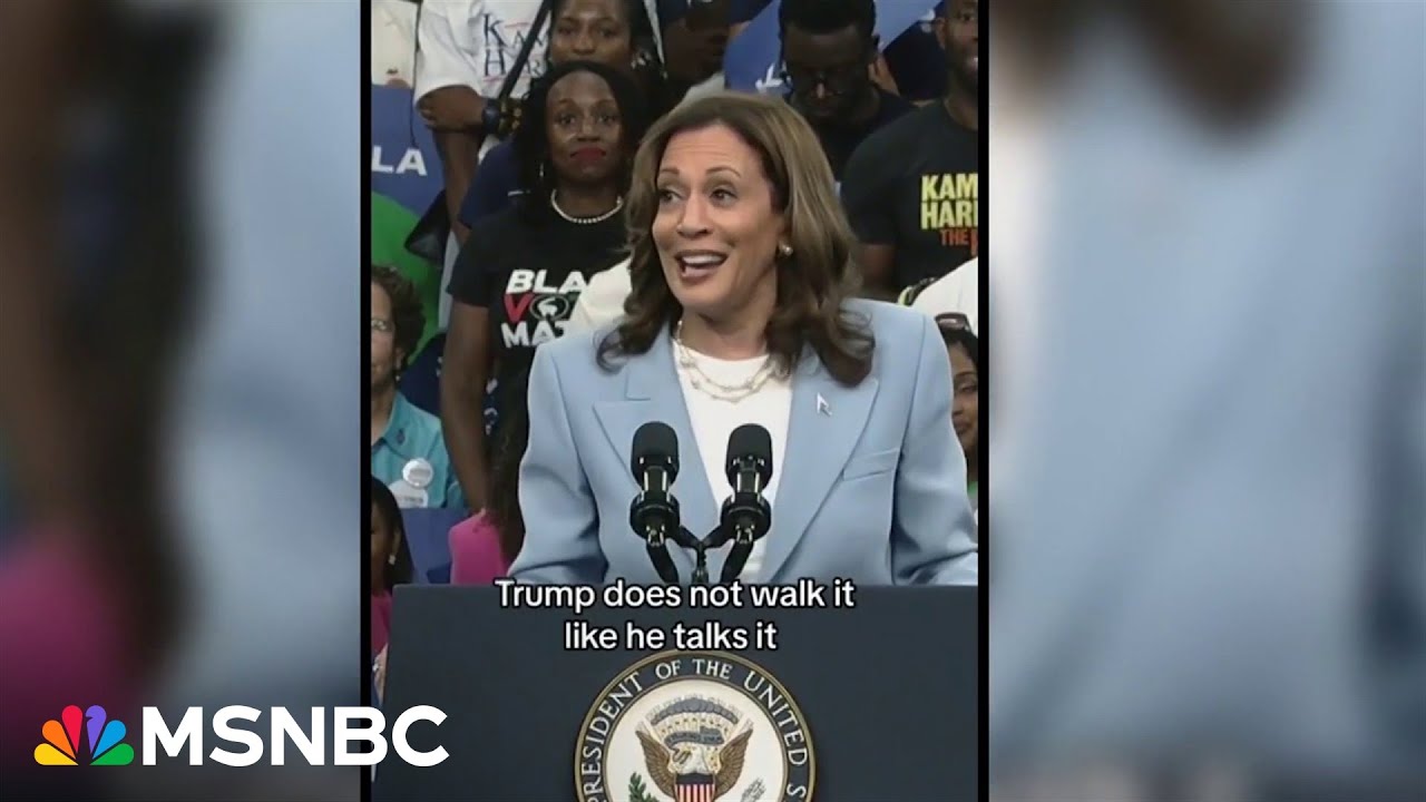 Kamala Harris rides viral meme 'wave' as campaign seizes organic mo...